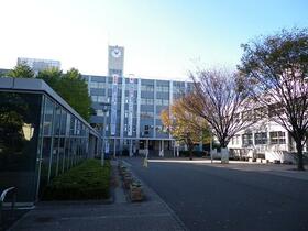 17/17 その他画像