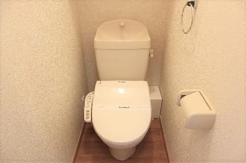 11/18 その他画像