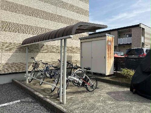 11/14 その他画像