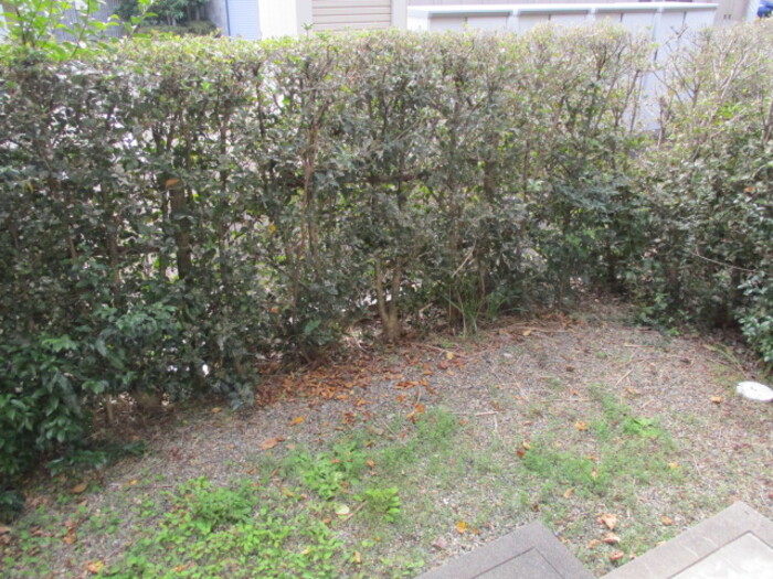 16/19 その他画像