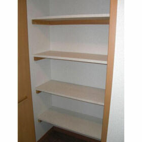 11/11 その他画像