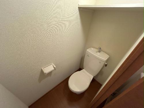 8/14 その他画像