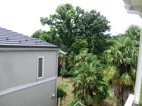 13/16 その他画像