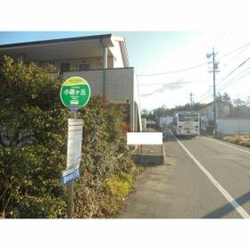 19/21 その他画像