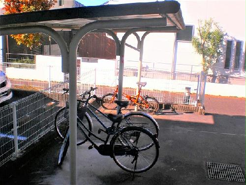 12/16 その他画像