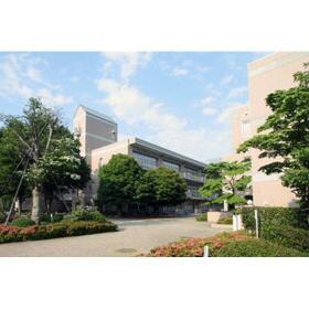 16/25 その他画像