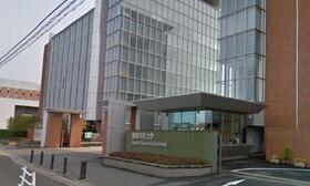 15/19 その他画像