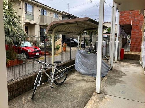 11/22 その他画像