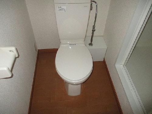 8/16 その他画像