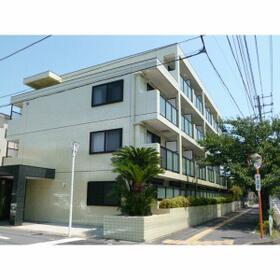 3/16 その他画像