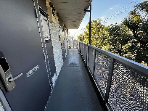 5/20 その他画像