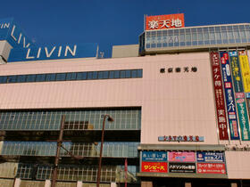 13/16 その他画像