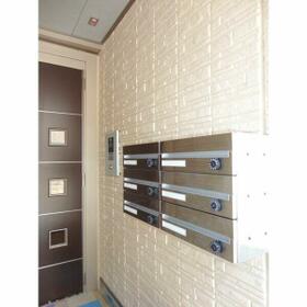 5/15 その他画像