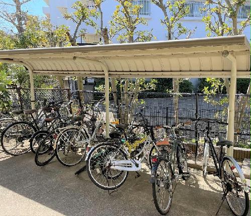 11/15 その他画像