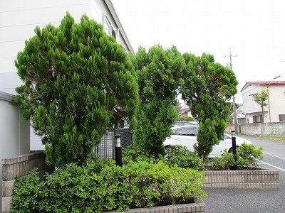 12/21 その他画像