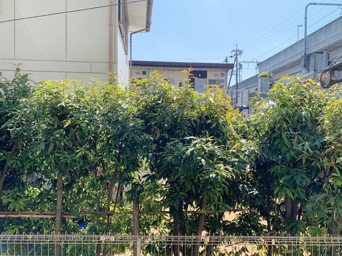 13/29 その他画像