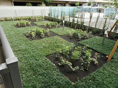 15/19 その他画像