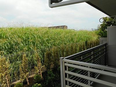 12/19 その他画像