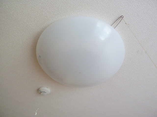 15/30 その他画像