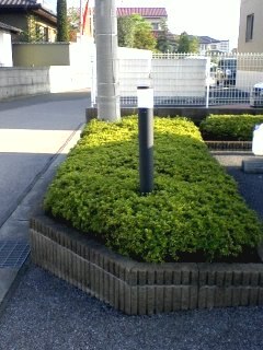 4/10 その他画像