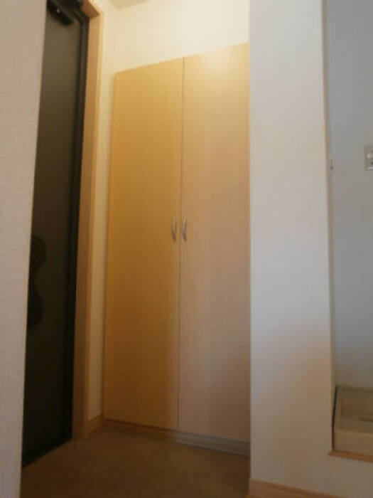 6/11 その他画像