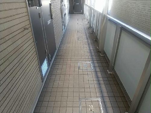 8/14 その他画像