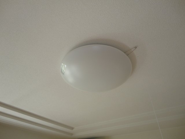 21/26 その他画像