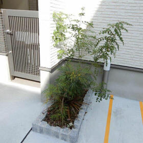 9/16 その他画像