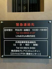 9/15 その他画像