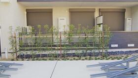 5/16 その他画像