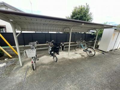 11/14 その他画像