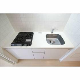 5/16 その他画像