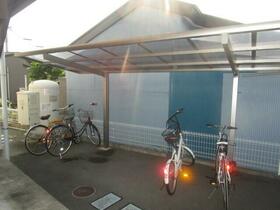 15/17 その他画像