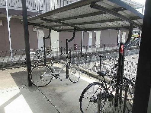 11/14 その他画像