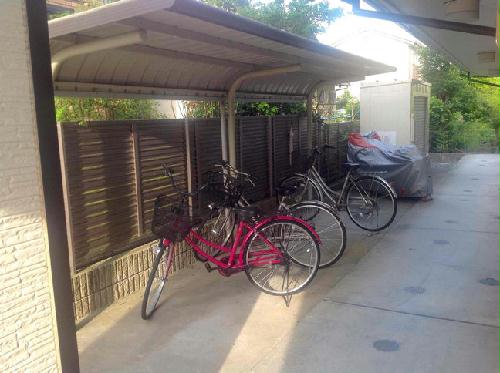 11/14 その他画像