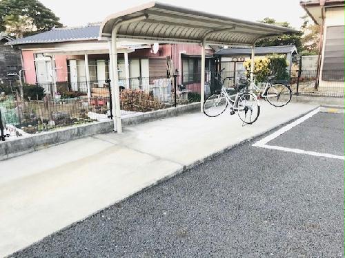 11/15 その他画像