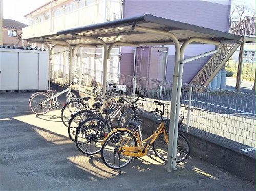 11/14 その他画像