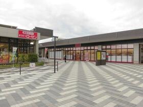 7/10 その他画像