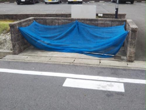 11/14 その他画像