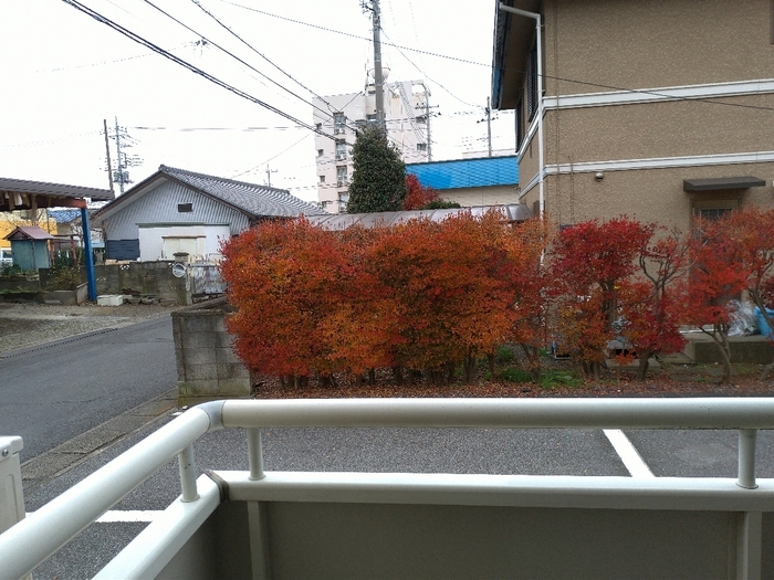 14/21 その他画像