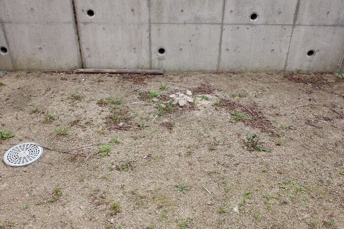 10/11 その他画像