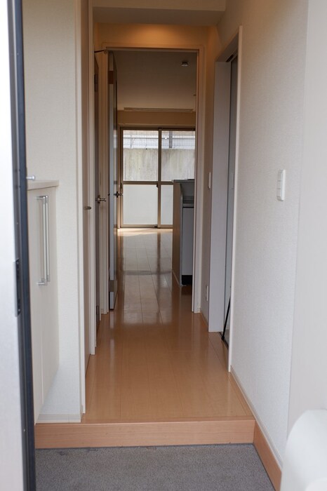 11/11 その他画像