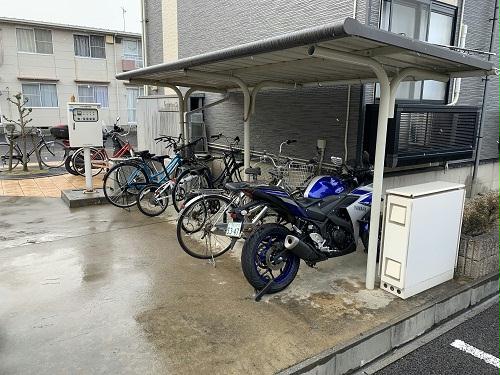 11/21 その他画像