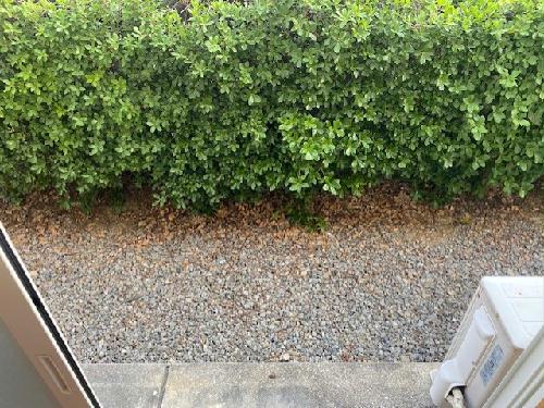 3/14 リビング/ダイニング