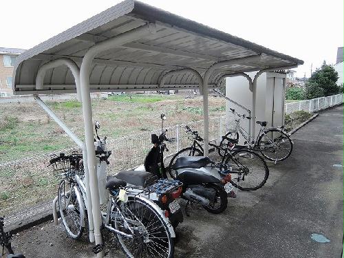 11/15 その他画像