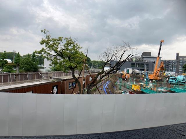 13/15 その他画像