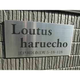 3/12 その他画像