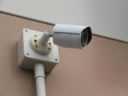 11/15 その他画像