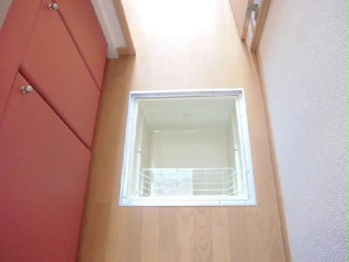 13/22 その他画像