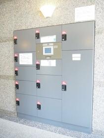 15/16 その他画像